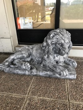 Lõvi