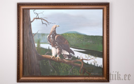 Maal (115x85)