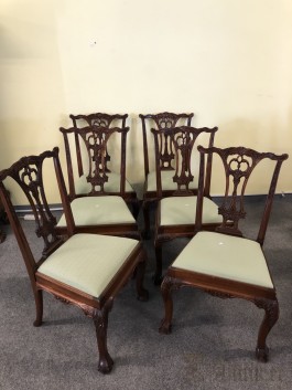 Tuolit (62x103x60, 6 kpl)