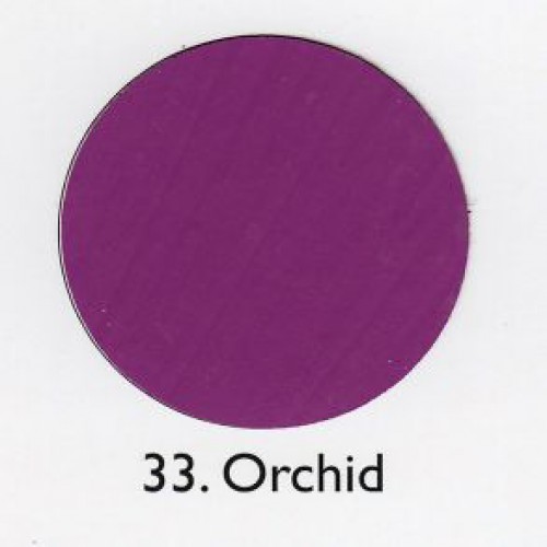 Orchid